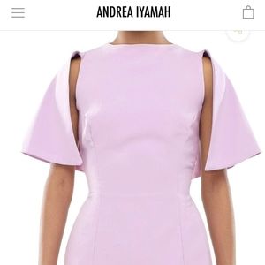 Andrea Iyamah ketya purple top large
